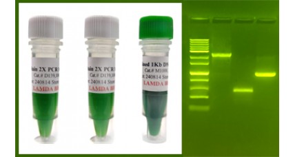 SafeStain 2x PCR Master Mix